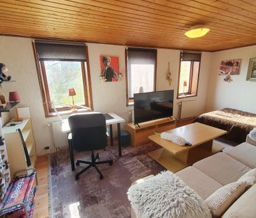 Flunsåsliden, Göteborg - Photo 3