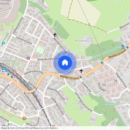 8630, Rüti, Rosenburgstrasse, 16