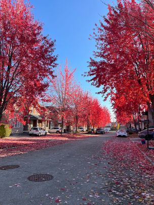 For Lease - 16 Vecchia Street, Markham, Ontario - Photo 1