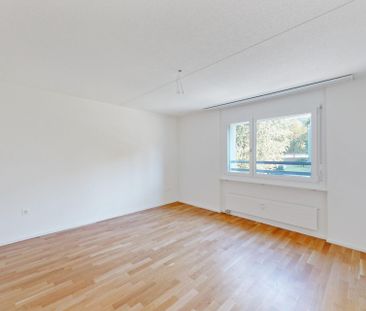 Heimelige Wohnung an ruhiger Lage - Foto 6