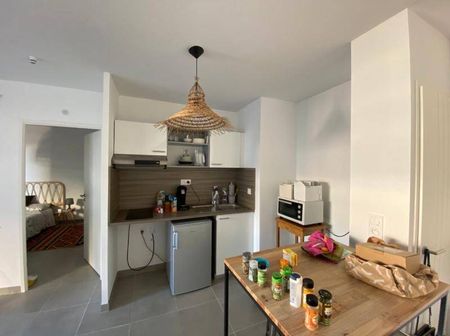 Location appartement récent 2 pièces 45.4 m² à Montpellier (34000) - Photo 2