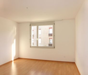 "An ruhiger Lage nähe Waldrand" - Photo 4