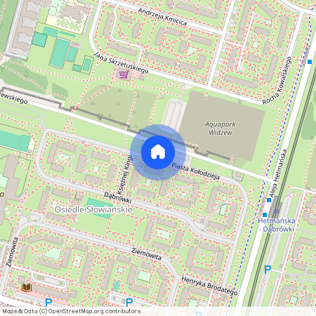 ul. Piasta Kołodzieja, Olechów, Widzew, Łódź, łódzkie