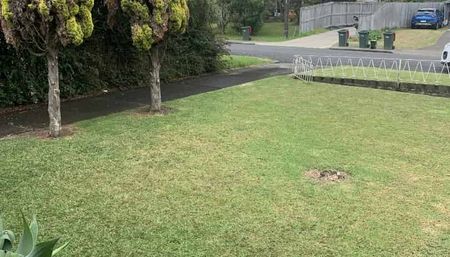 Great Location in Papatoetoe - Photo 3