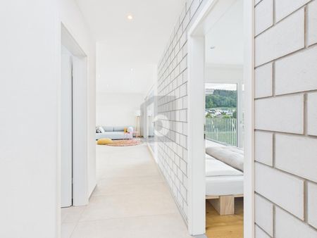 WUNDERSCHÖNE AUSSICHT MIT GROSSER TERRASSE - Photo 5
