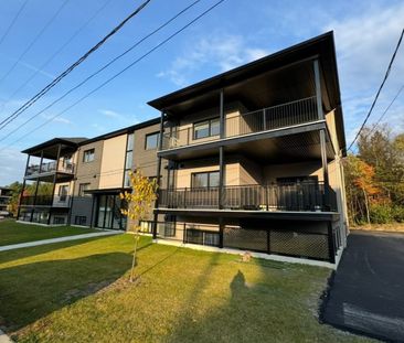 Très Grand 5 1/2 à Louer - 1300$ - Photo 2