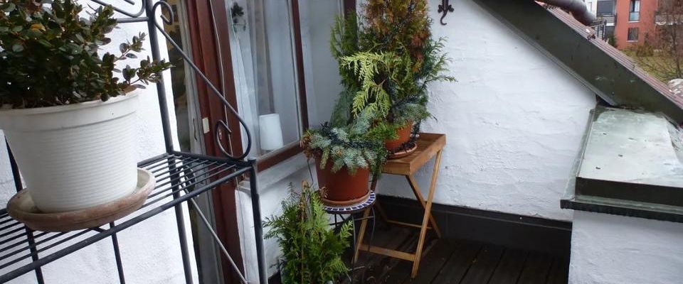 Wunderschöne Einliegerwohnung in Feldrandlage von Estenfeld - Photo 1