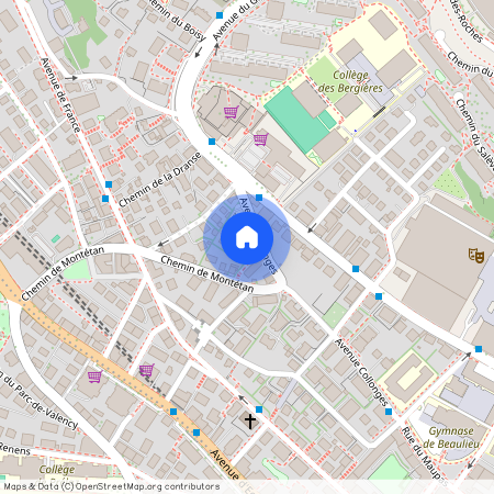 Avenue Collonges 33, 1004 Lausanne