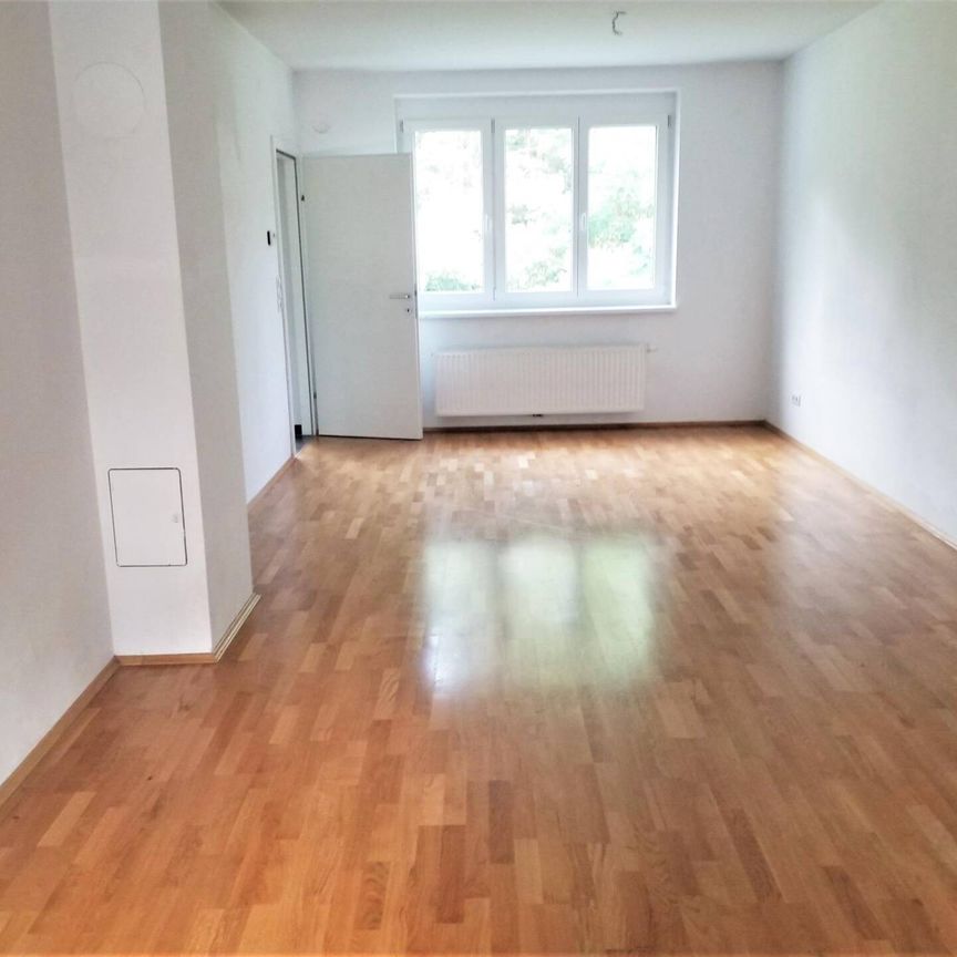 Wohnungen mit Wintergarten und Kaufoption - Photo 1