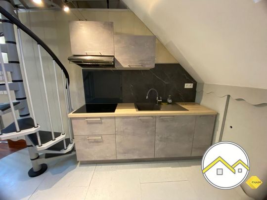 Location Appartement 1 pièce 28m² CHATEAUBRIANT 44110 - Photo 1