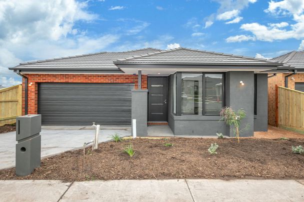 Brand New with Quality Finishes Family Home - Photo 1