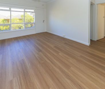 Renovated spacious apartment! - Photo 1