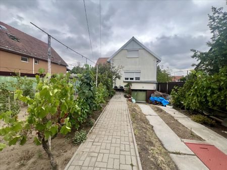 Kiadó jó állapotú lakás - Budapest XVIII. kerület - Fotó 4