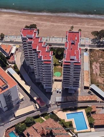 Apartment - Benicassim (Benicasim/Benicàssim) - Photo 5