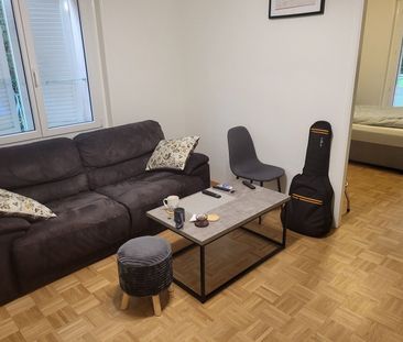 3-ROOM APARTMENT IN CRISSIER (VD), FURNISHED, TERM BASED - Photo 4