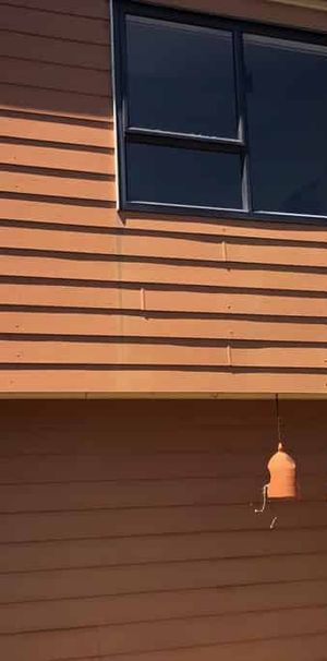 Sunny Studio - Photo 1