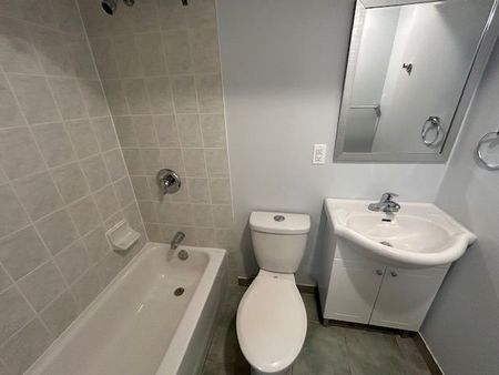 For Lease - 243 Port Royal Trail Unit# Bsmt, Toronto, Ontario - Photo 2