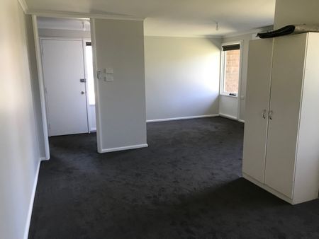 5 Noreen Place, Orange NSW 2800 - House For Rent | Domain - Photo 2