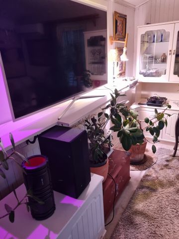 Musköstigen, Årsta Havsbad - Photo 4