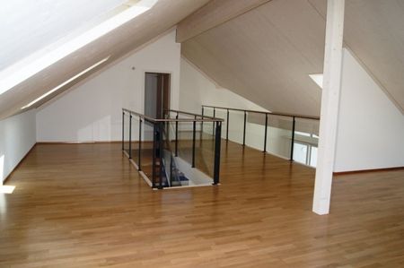 Appartement lumineux et spacieux (226 m2) avec galerie - Photo 5
