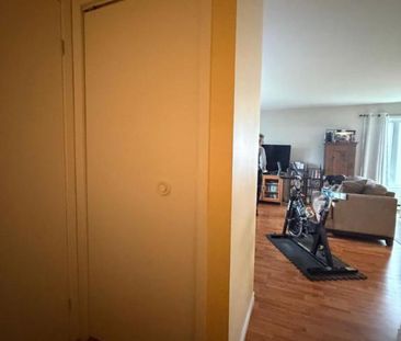 2 CH - 1 SDB - Lévis - $1,200 /mo - Photo 2