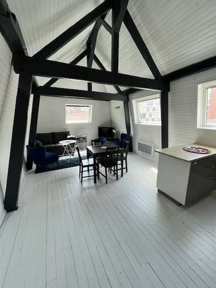 Location Appartement 1 pièce 40m² LILLE 59000 - Photo 1