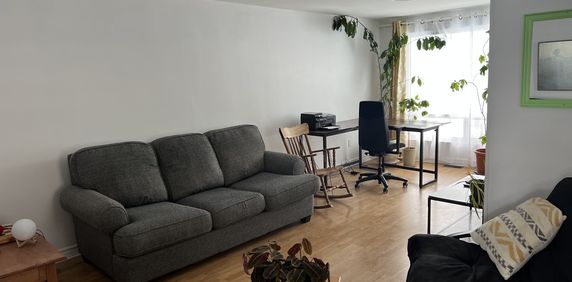 Tout Inclus Grand 3 1/2 à Louer Gatineau - Photo 2