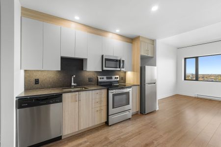 Condo for rent, Montréal (Le Plateau-Mont-Royal) - Photo 4