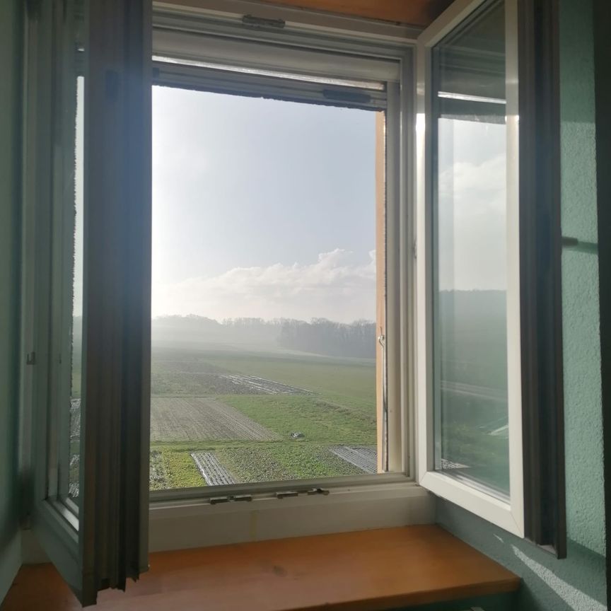 12 m² - Photo 1
