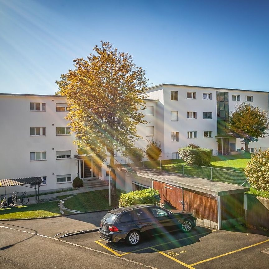 Rent a 3 rooms apartment in Hinwil - Photo 1