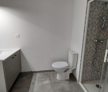 Location Appartement 2 pièces 43m² VILLENEUVE TOLOSANE 31270 - Photo 5