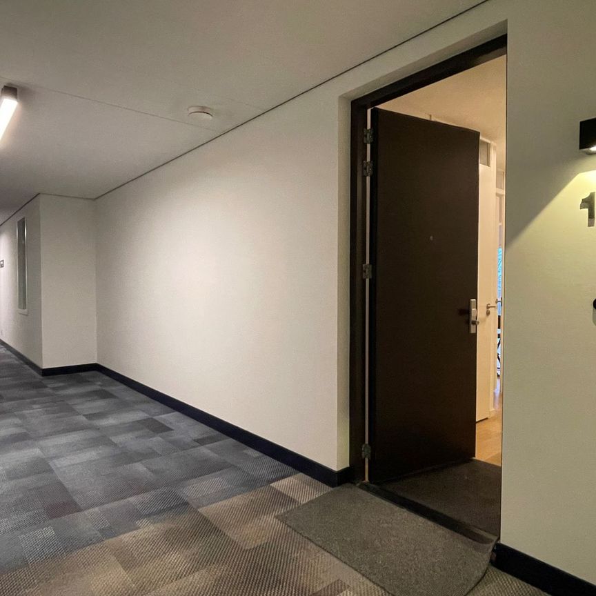 Appartement te huur: Mangoweg 19 2321 HZ Leiden - Foto 1