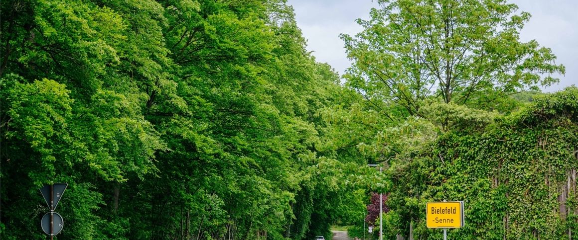 Neubau-Terrassenwohnung mit Garten und Stellplatz! - Photo 1