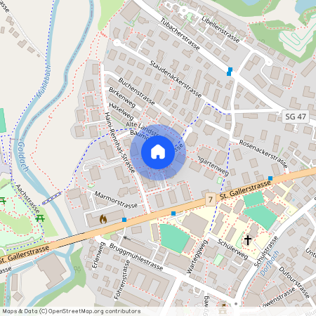 Haini-Rennhas-Strasse 16, 9403 Goldach