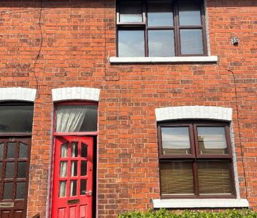 14 Fane Street, Belfast, BT9 7BW - Photo 4