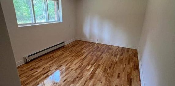 1 CH - 1 SDB - Montréal - $1,000 /mo - Photo 2