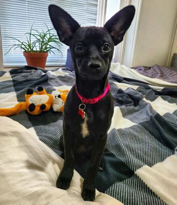 Kensington - Photo 1