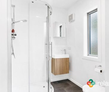 Sunny on Springfield - Photo 1