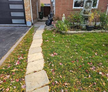 For Lease - 17 Dragonfly Crescent, Toronto, Ontario - Photo 4