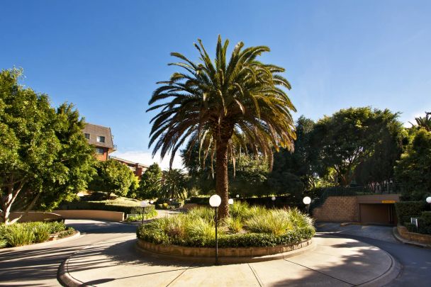 A cosmopolitan sanctuary in Sydney Park Village - Photo 1