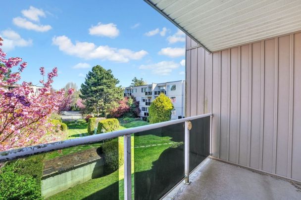 Fraser Place Apartments - Bachelor - Photo 1