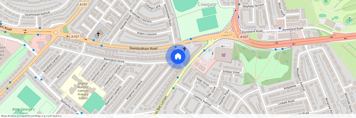 Westerhope Gardens, NE5, Fenham