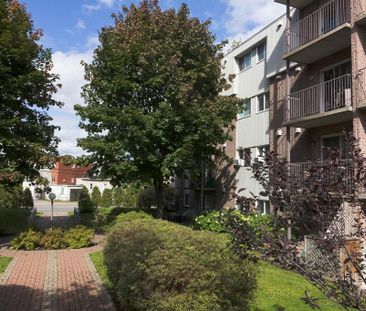 4 1/2 Vanier -ascenseur- proche des commodités- 1er décembre - Photo 1