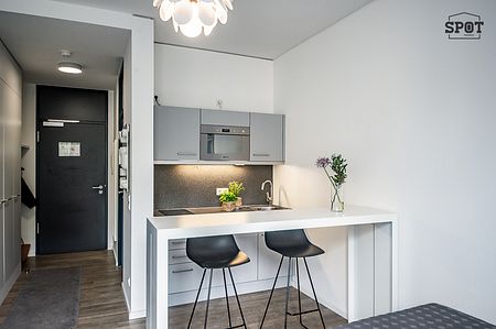 Modernes Apartment in Milbertshofen - Photo 3