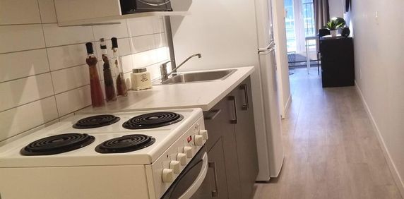 Studio - Montréal - $1,045 /mo - Photo 2