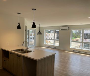 3720 Rue Médard Émard, Longueuil (Saint-Hubert), QC J3Y - Photo 3