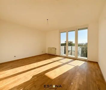 Erstbezug nach Sanierung | Familienwohnung mit Grünblick - Photo 2