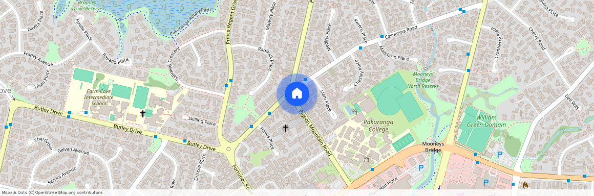 158A Pigeon Mountain Road, Half Moon Bay, Manukau City