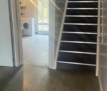 NETHERFIELD - ROOM RENTAL - Photo 4