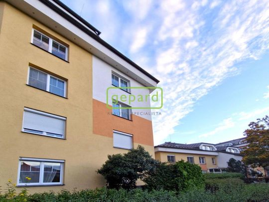 Pronájem bytu 2+kk 46 m2 - Fotografie 1
